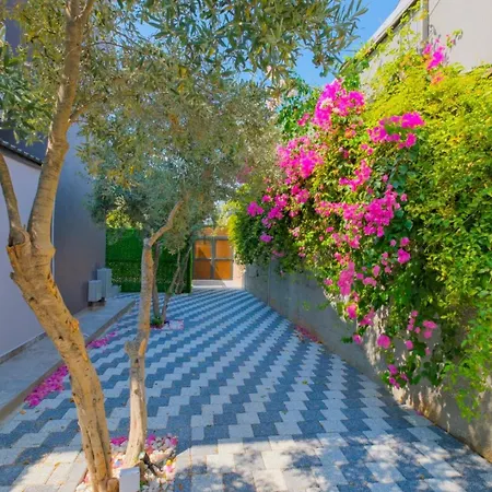 ヴィラ Alisen 1 フェティエ