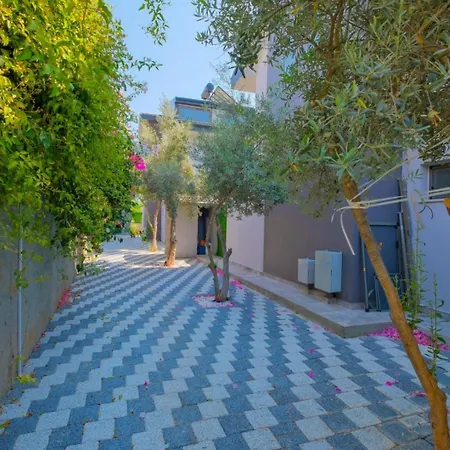 Alisen 1 * フェティエ